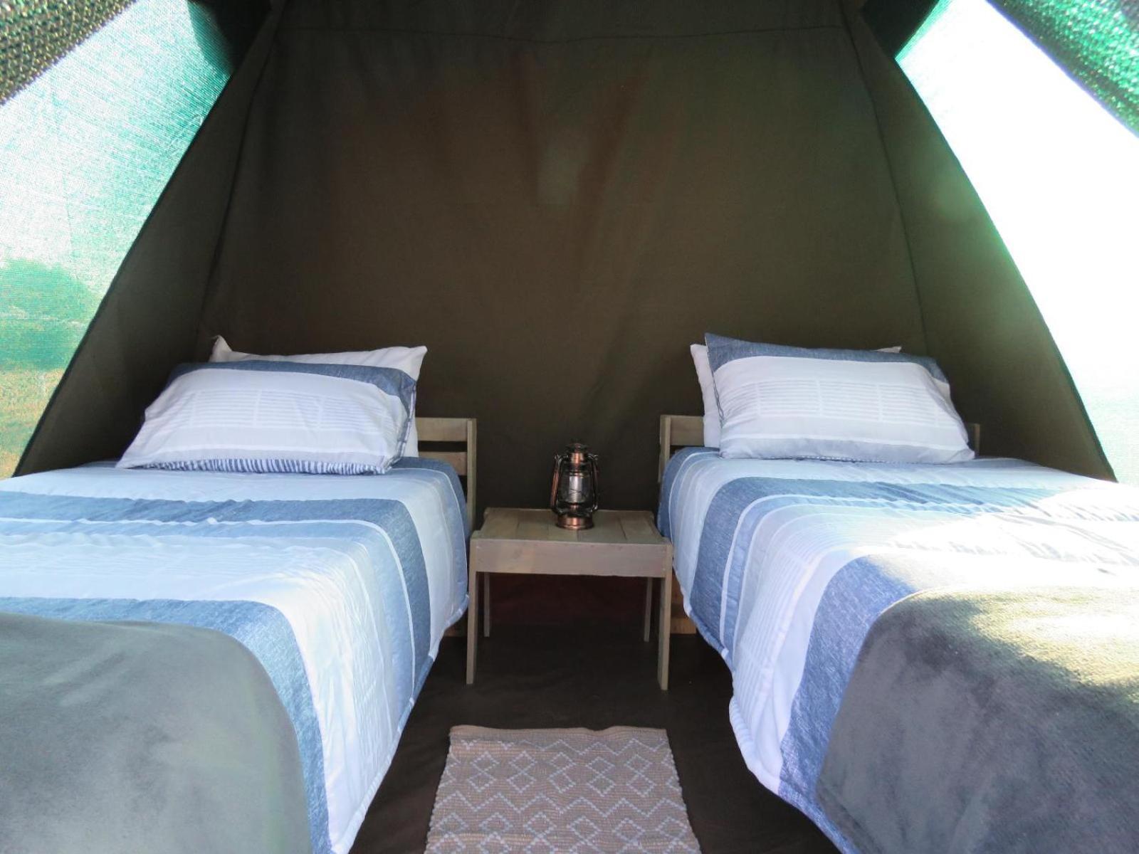 Hotel Tropic Of Capricorn Guest Farm Rehoboth Habitación foto